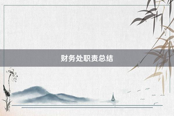 财务处职责总结