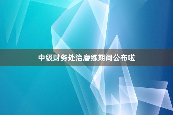 中级财务处治磨练期间公布啦